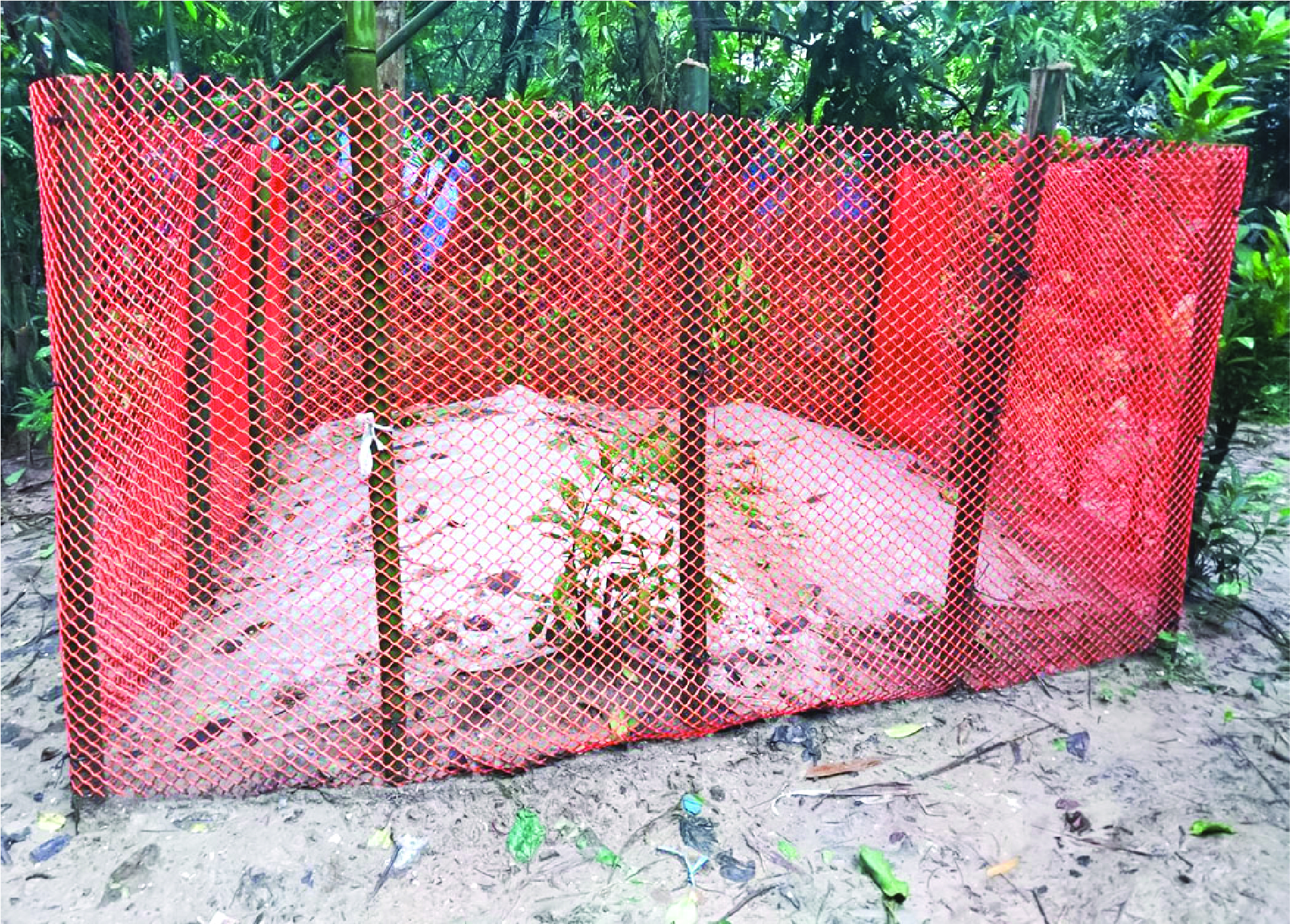 Image of  হাসিবুর রহমান